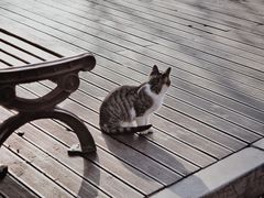 -银沙滩浴场