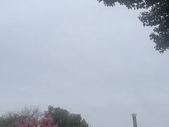 -南湖梦幻岛