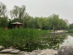 -太阳宫公园