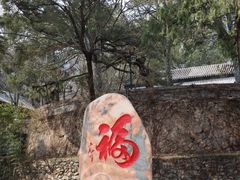 -北京鹫峰国家森林公园