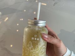 -野萃山·潮汕厚果汁(十亩地店)