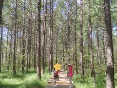 -洮儿河国家湿地公园