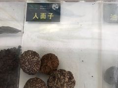 -郑州植物园