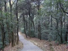 -西湖风景区十里琅珰-五云山