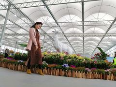 -万顷园艺世界
