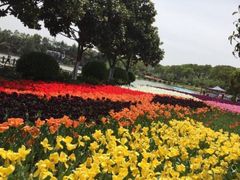 -上海鲜花港