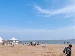 -碧海金沙