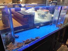 -千代武日本料理(爱建店)