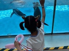 -帝企鹅自助餐厅•儿童岛•真企鹅(长隆企鹅酒店)