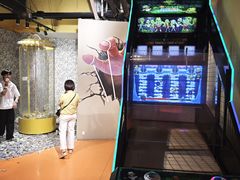 -不可思议减压馆·解压博物馆·摔碗发泄·团建定制