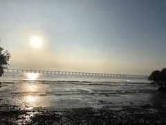 -宝安西湾红树林湿地公园