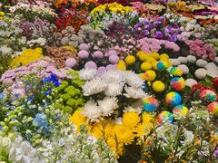-双季花艺园艺市场(浦东店)