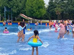 -灵山莲花公园-温泉度假区