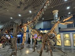 -国家自然博物馆