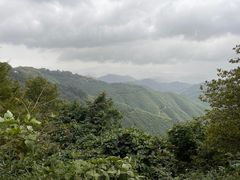 -莫干山风景区