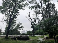 -乌山风景区