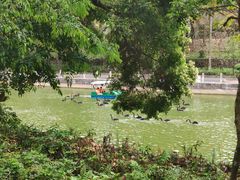 -广东茂名森林公园