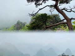 -大连天门山国家森林公园