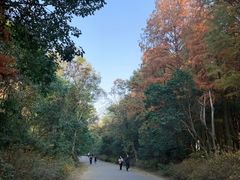 -上海海湾国家森林公园