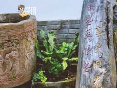 -慢丽江·云南野生菌土鸡锅(西山店)