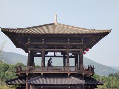 -大唐贡茶院