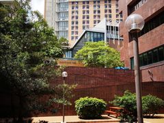 -香港大学