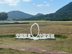 -艾米稻香小镇