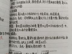 -首脑美容美发化妆美甲培训学校(长沙校区)