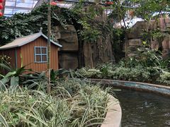 -南宫五洲植物乐园