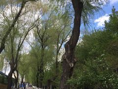 -长春公园(普阳街道)