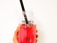 -素匠泰茶(三里屯SOHO工体奶茶店)