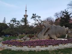 -南京古林公园