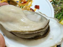 -杨家崴子碳缸烧烤(东三马路店)