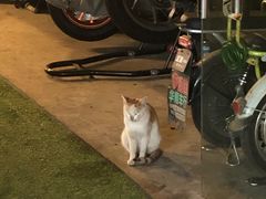 -竞速卡丁车赛车会(道滘店)