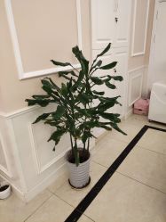 -Bollins波林丝•专研护发中心