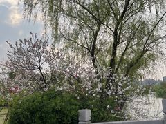 -自然谷恐龙园