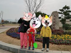 -九龙湖公园