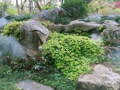 -东莞植物园