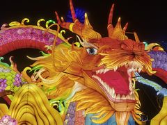 -武汉园博园(武汉自然博物馆)