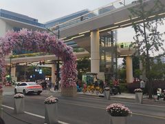-凤凰湘语(浦东旗舰店)
