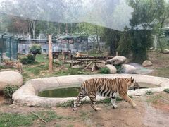 -泉州海丝野生动物世界