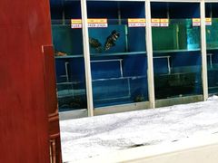-金时代顺风大酒店(协泰店)