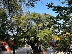 -封龙山风景区