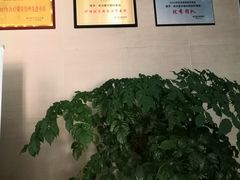 -武汉大学附属爱尔眼科医院(湖北总院)