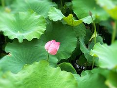 -丝绸小镇荻港古村