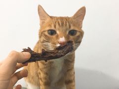 -周黑鸭(宝安中心店)