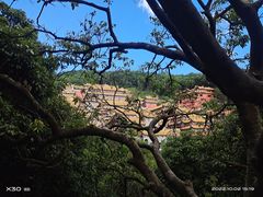 -东莞市大岭山森林公园