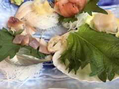-大起水产回转寿司(道顿堀店)
