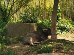 -茅山东方盐湖城景区