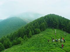 -阳台山自然风景区